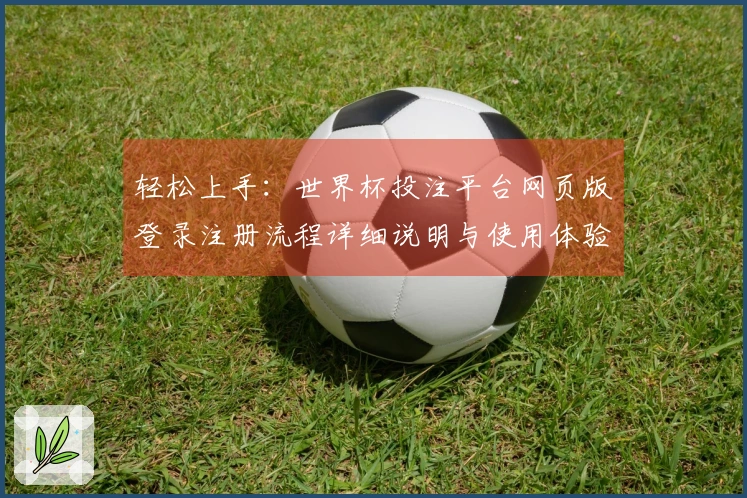 轻松上手:世界杯投注平台网页版登录注册流程详细说明与使用体验分享