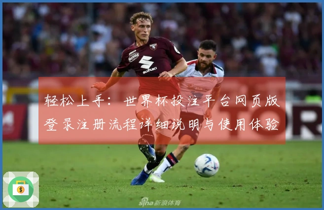 轻松上手：世界杯投注平台网页版登录注册流程详细说明与使用体验分享