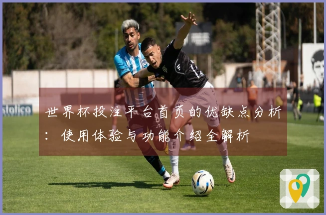 世界杯投注平台首页的优缺点分析：使用体验与功能介绍全解析