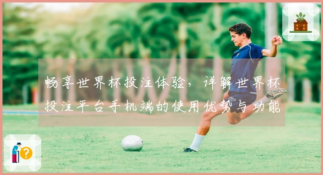 畅享世界杯投注体验，详解世界杯投注平台手机端的使用优势与功能介绍