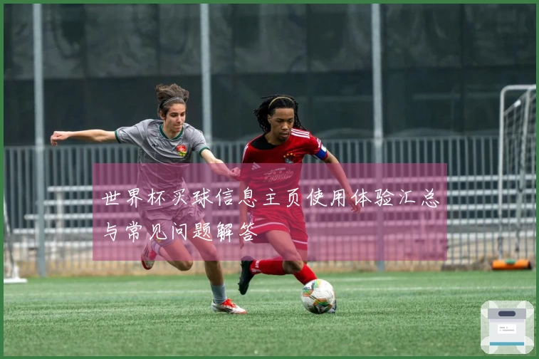 世界杯买球信息主页使用体验汇总与常见问题解答