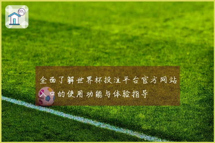 全面了解世界杯投注平台官方网站入口的使用功能与体验指导