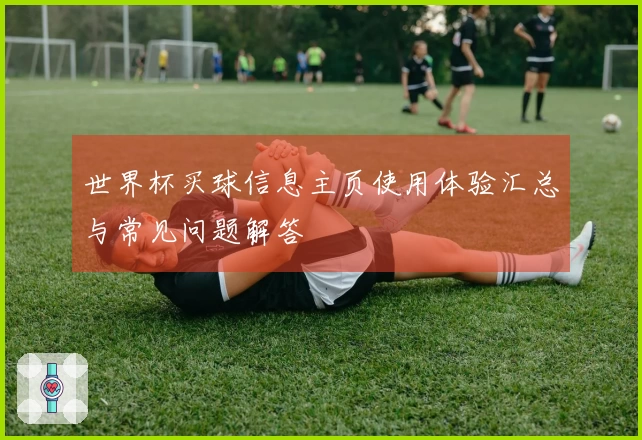世界杯买球信息主页使用体验汇总与常见问题解答
