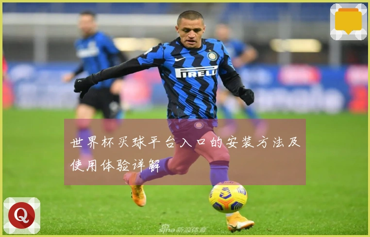 世界杯买球平台入口的安装方法及使用体验详解