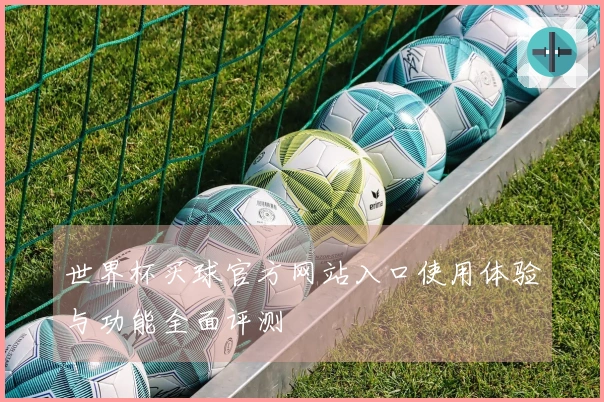 世界杯买球官方网站入口使用体验与功能全面评测