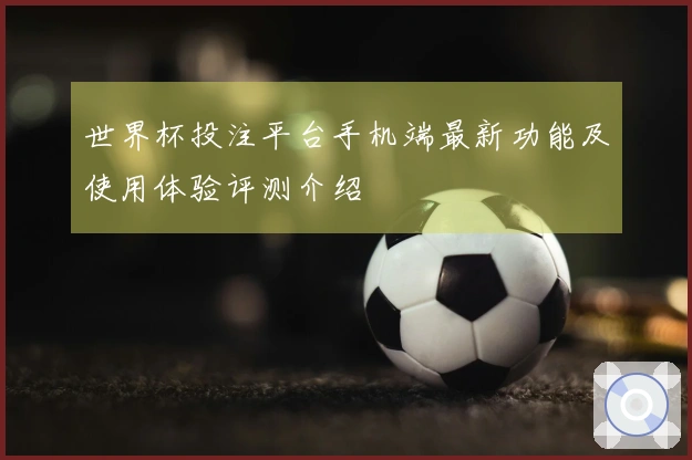 世界杯投注平台手机端最新功能及使用体验评测介绍