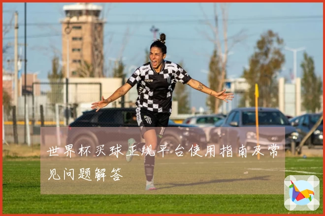 世界杯买球正规平台使用指南及常见问题解答