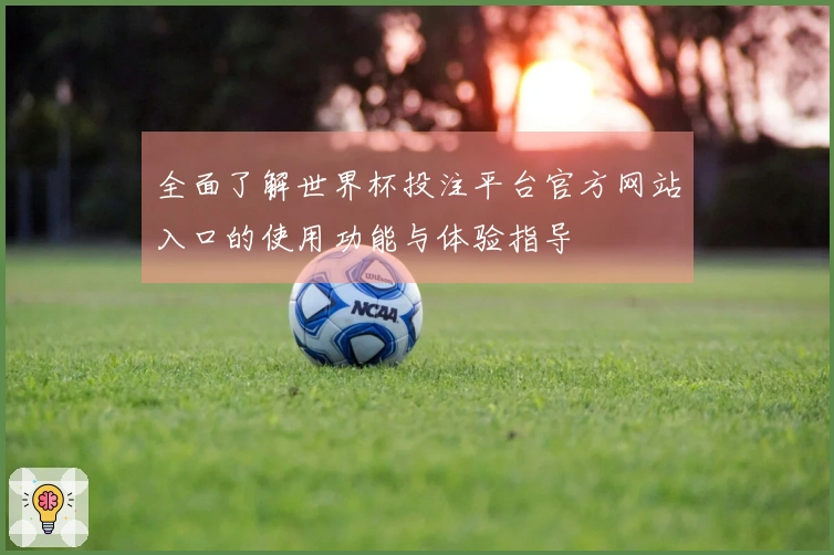 全面了解世界杯投注平台官方网站入口的使用功能与体验指导
