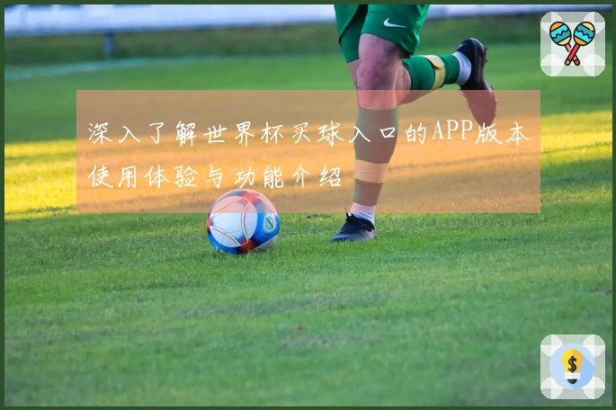 深入了解世界杯买球入口的APP版本使用体验与功能介绍