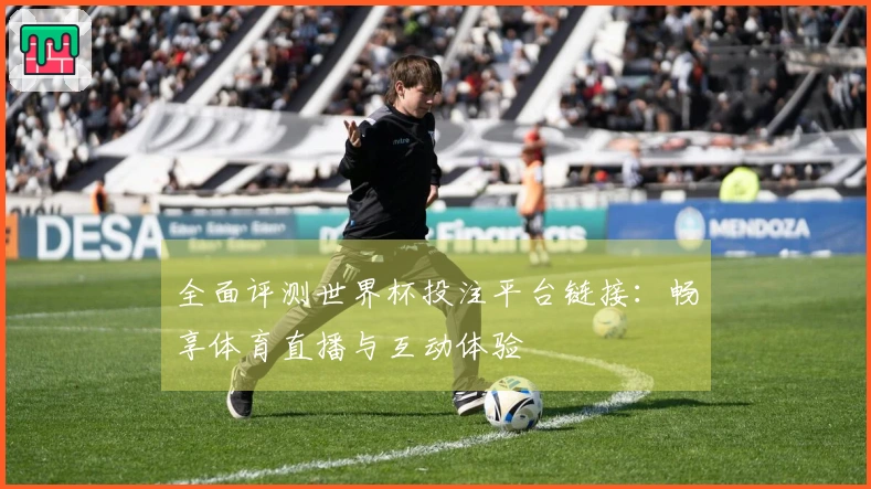 全面评测世界杯投注平台链接:畅享体育直播与互动体验