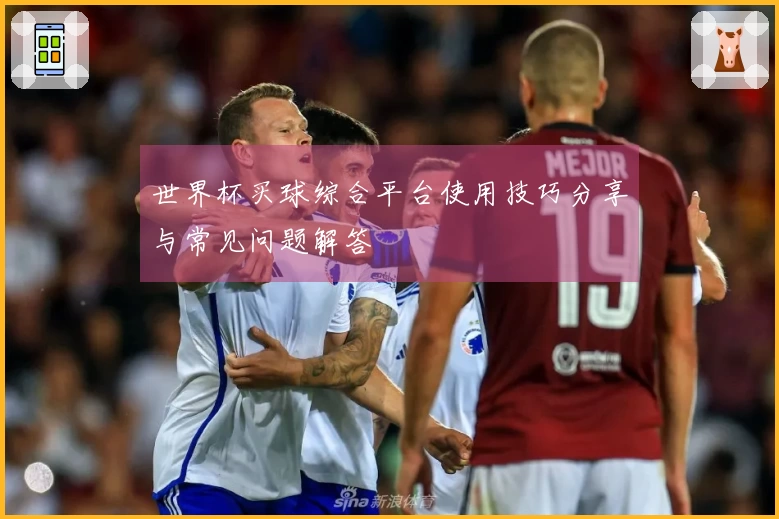 世界杯买球综合平台使用技巧分享与常见问题解答
