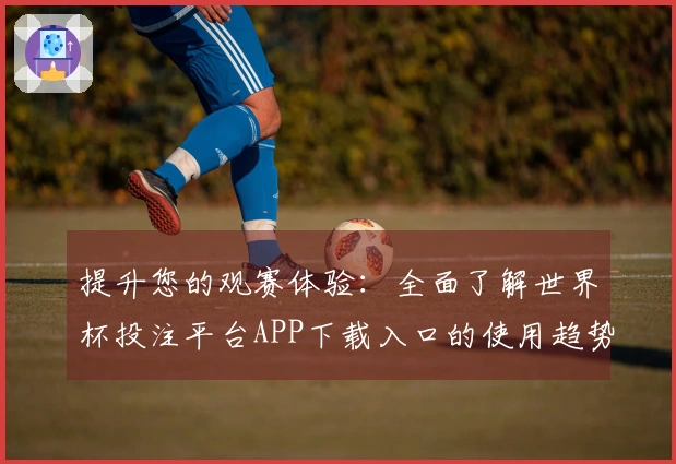 提升您的观赛体验：全面了解世界杯投注平台APP下载入口的使用趋势与功能
