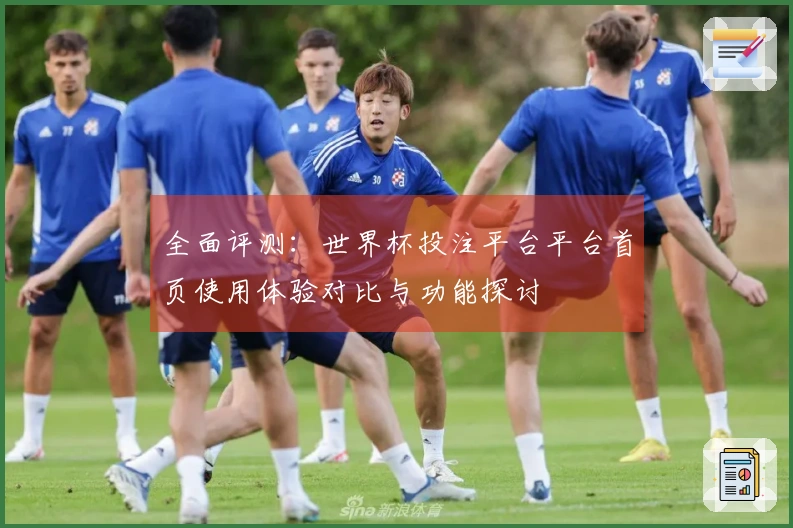 全面评测：世界杯投注平台平台首页使用体验对比与功能探讨