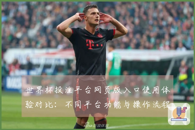 世界杯投注平台网页版入口使用体验对比：不同平台功能与操作流程分析