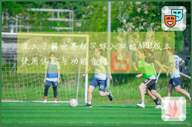 深入了解世界杯买球入口的APP版本使用体验与功能介绍
