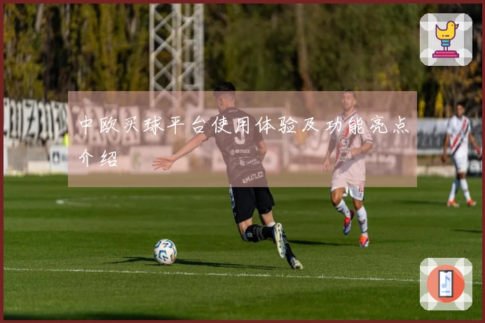 中欧买球平台使用体验及功能亮点介绍