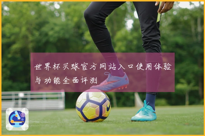 世界杯买球官方网站入口使用体验与功能全面评测