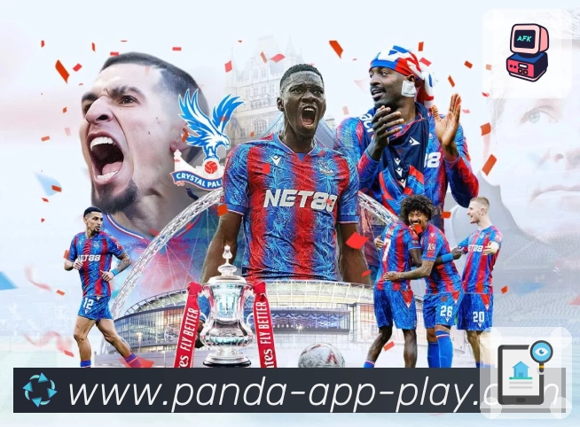 熊猫体育 品牌合作